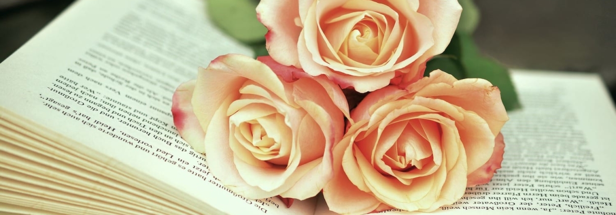 book-with-rose