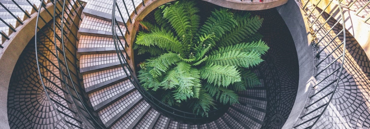 spiral-stairs